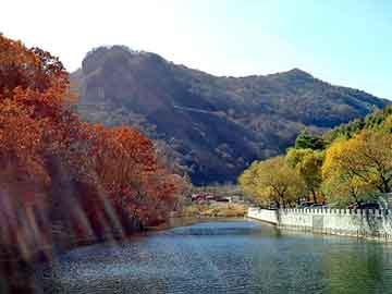 澳门二四六天天彩图库，手动注油器